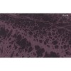 Texam | Reale | Belvedere