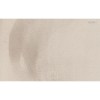 Texam | Reale | Casanova
