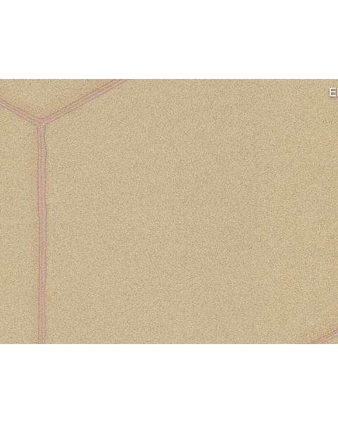 Texam | Entanglement | Double Slit