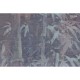 Texam | Mystic Forest | Ritsurin
