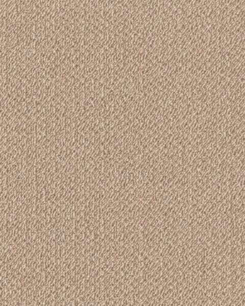 Toli / Pets Carpet / AK3518