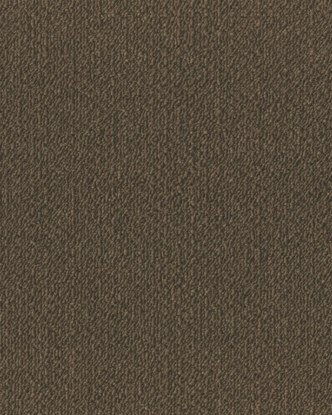 Toli / Pets Carpet / AK3523