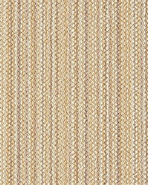 Toli / Pets Carpet / AK3581RS