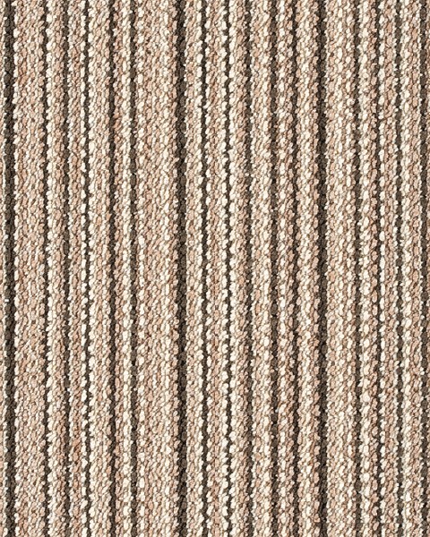 Toli / Pets Carpet / AK3582RS