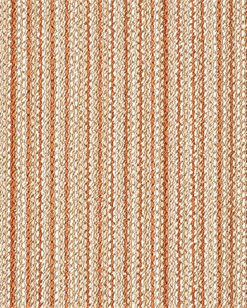 Toli / Pets Carpet / AK3583RS