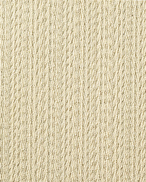 Toli / Pets Carpet / AK9501