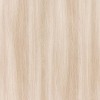 WVP4121 | Toli