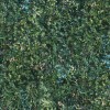 WVP4177 | Toli