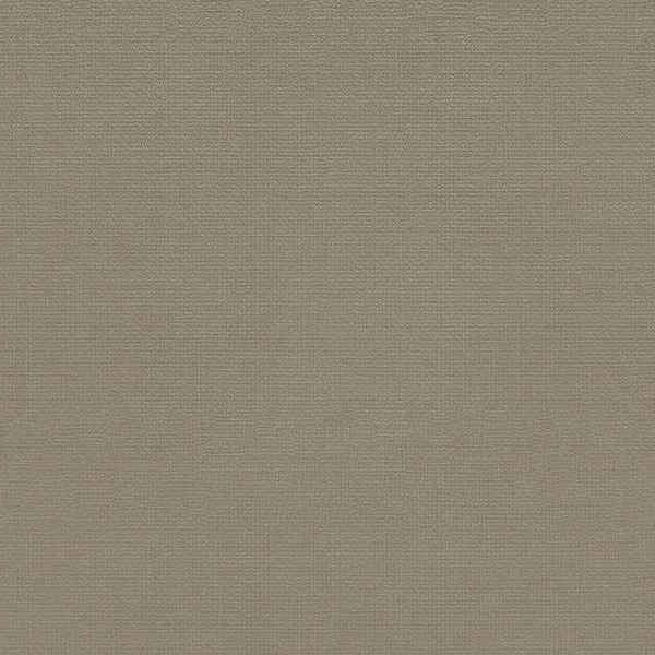 WVP4196 | Toli