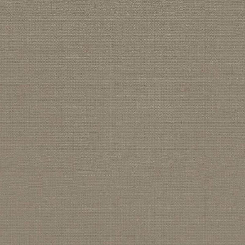 WVP4196 | Toli