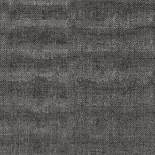 WVP4197 | Toli