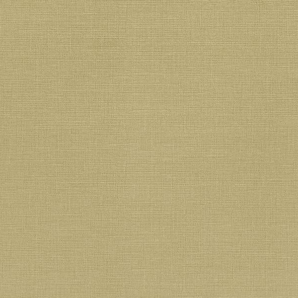 WVP4210 | Toli