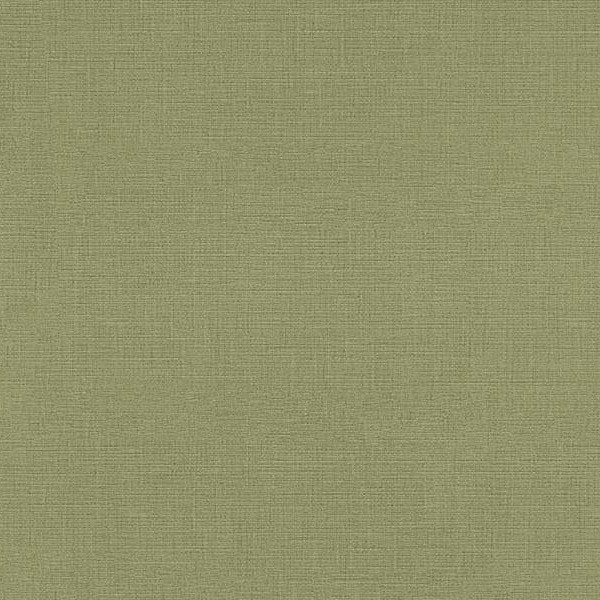 WVP4211 | Toli