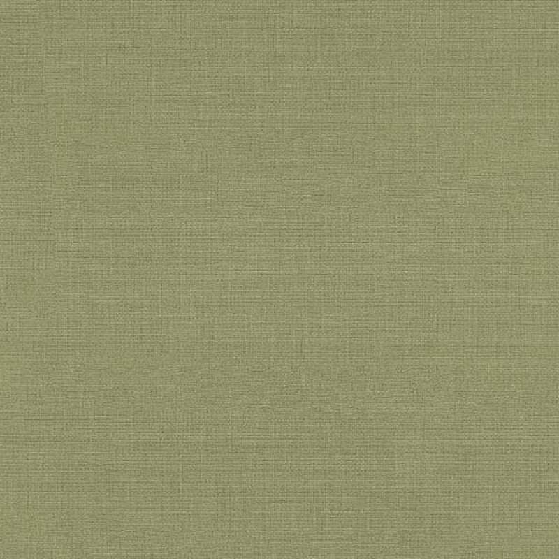 WVP4211 | Toli