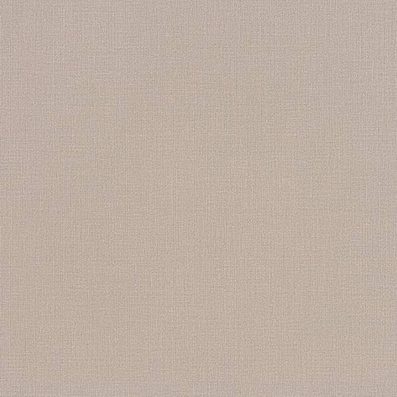 WVP4241 | Toli