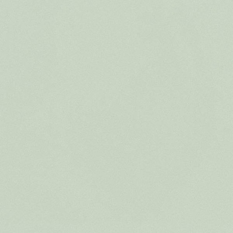 WVP4259 | Toli