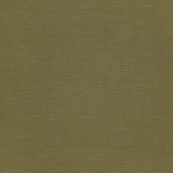 WVP4324 | Toli