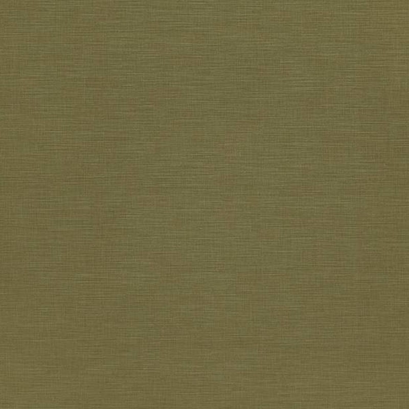 WVP4324 | Toli