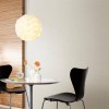 WVP4381 | Toli