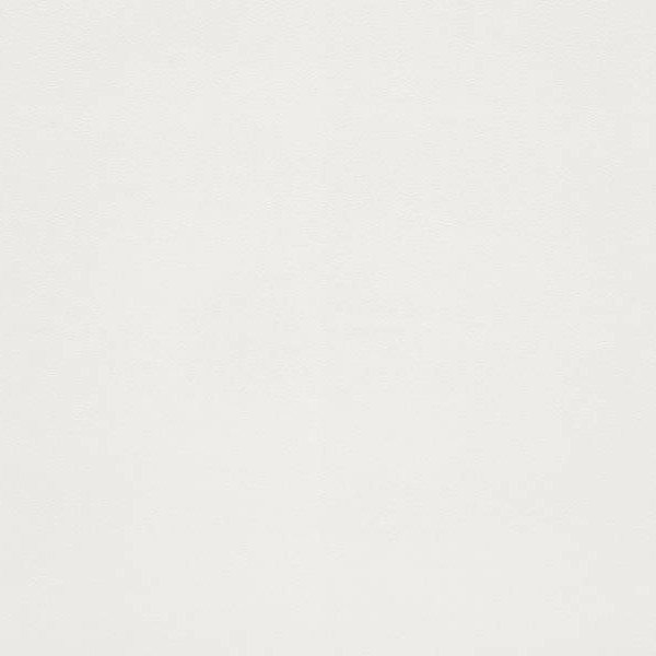 WVP4449 | Toli