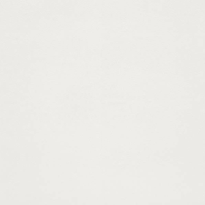 WVP4449 | Toli