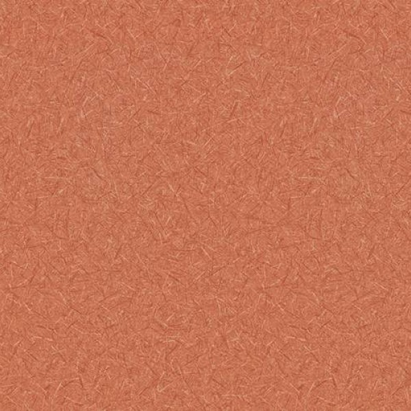 WVP4473 | Toli