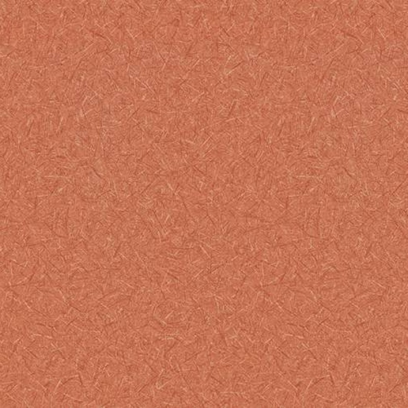 WVP4473 | Toli
