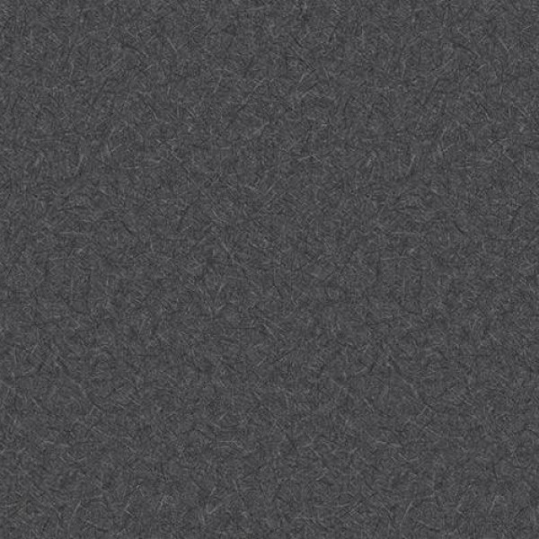 WVP4476 | Toli