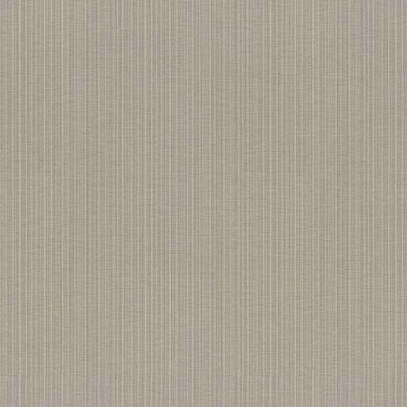 WVP4478 | Toli