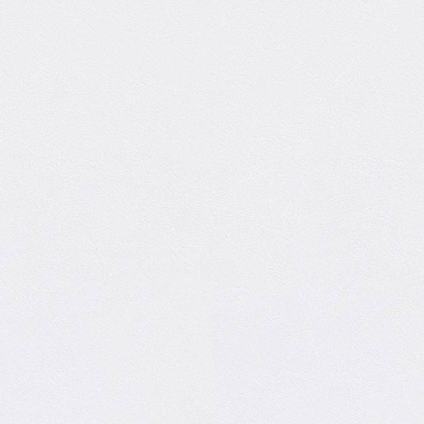 Toli - WVP4547