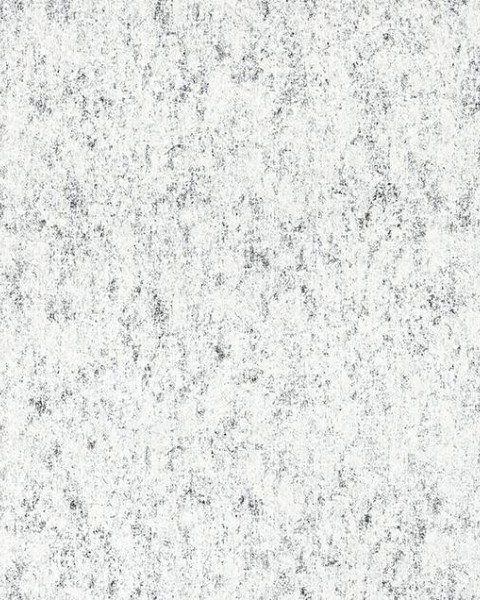 Toli - WVP4559