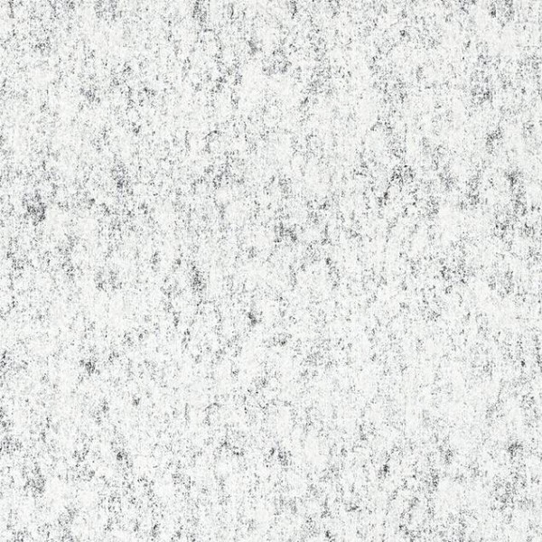 Toli - WVP4559