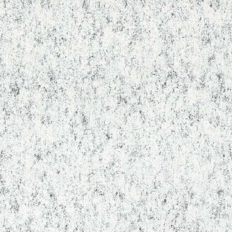 Toli - WVP4559