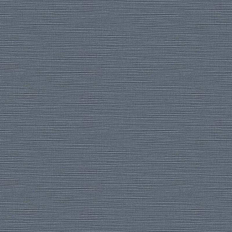 Toli - WVP4564