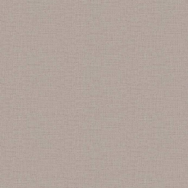 Toli - WVP4567