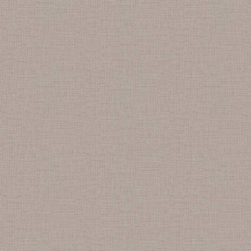 Toli - WVP4567