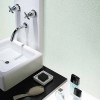 Toli - WVP4594
