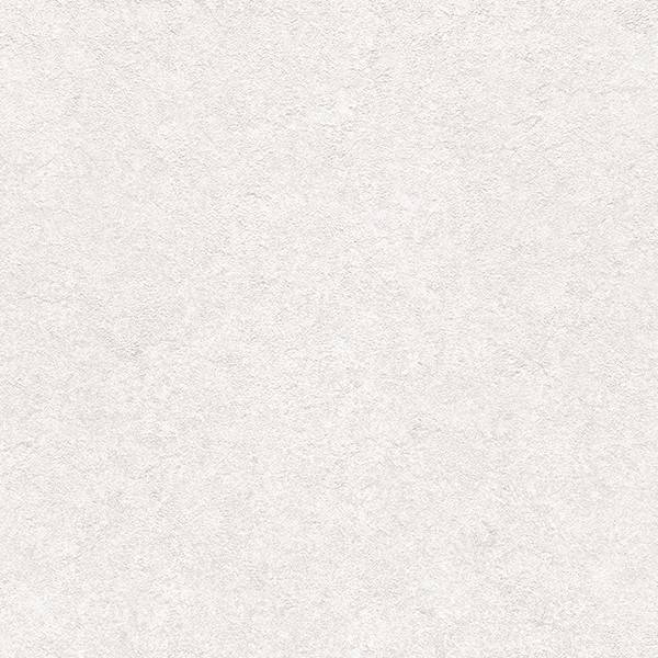 Toli - WVP4598