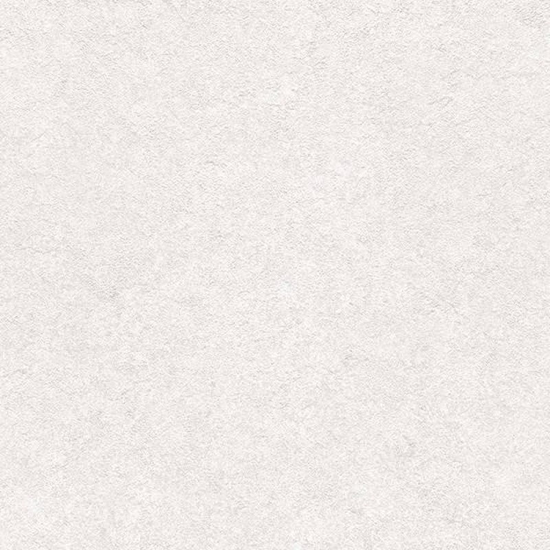 Toli - WVP4598