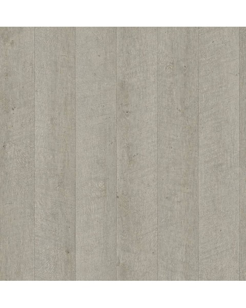 WRW8246 | Toli