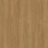 WRW8316 | Toli