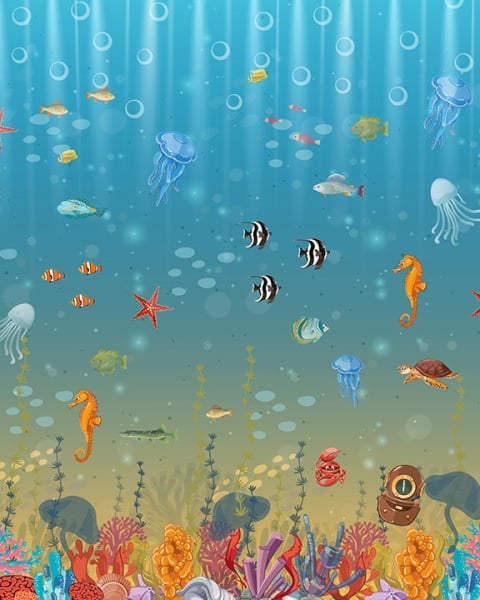 Honpo IM | Funzone | Marine Marvels