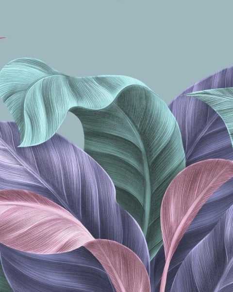 Honpo IM | Paradise | Modern Abstract Leaves