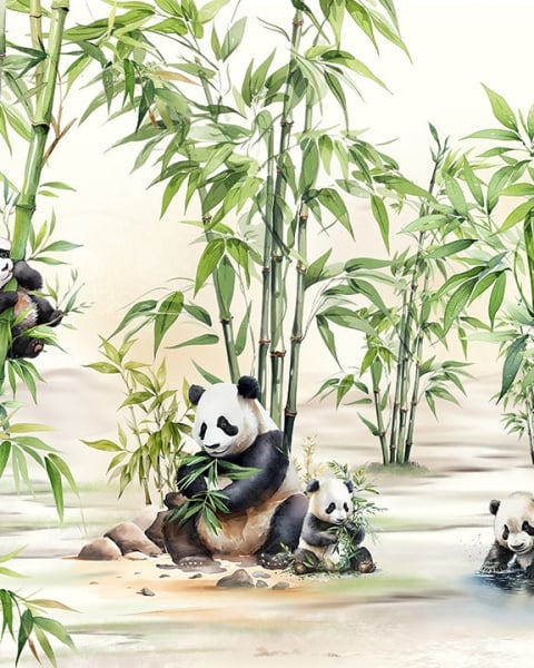 Honpo IM | Funzone | Panda Paradise