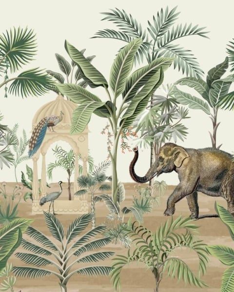 Honpo IM | Paradise | Safari