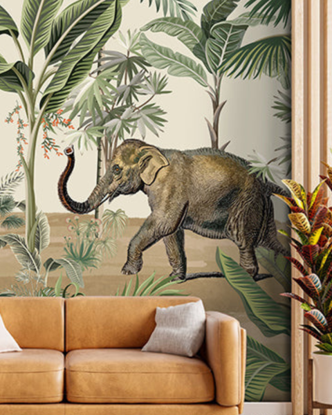 Honpo IM | Paradise | Safari