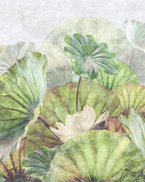 Honpo IM | Paradise | Serene Lotus Pond Greens