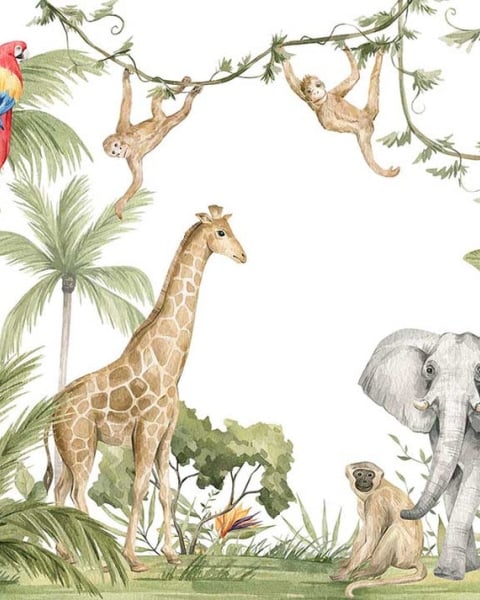 Honpo IM | Funzone | Wild Wonders