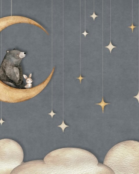 Oliver Robins | Bear on the Moon I