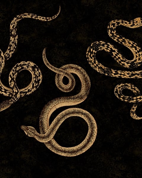 Phillip Jeffries | Serpent I